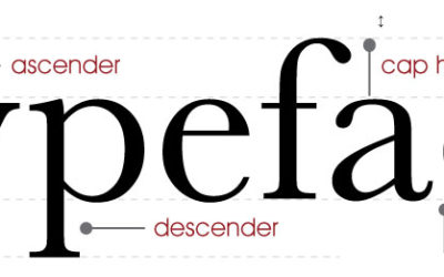 Typography; a wonderful world of typefaces for everyone