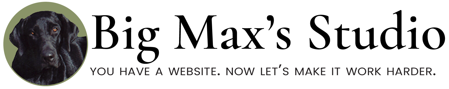 Big Max's Studio logo